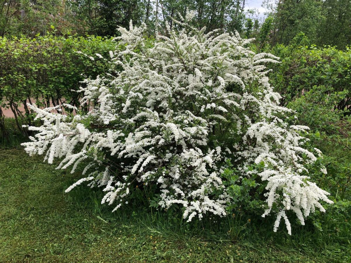 Pyhtaeae Garden Villa Pyhtaa Екстер'єр фото